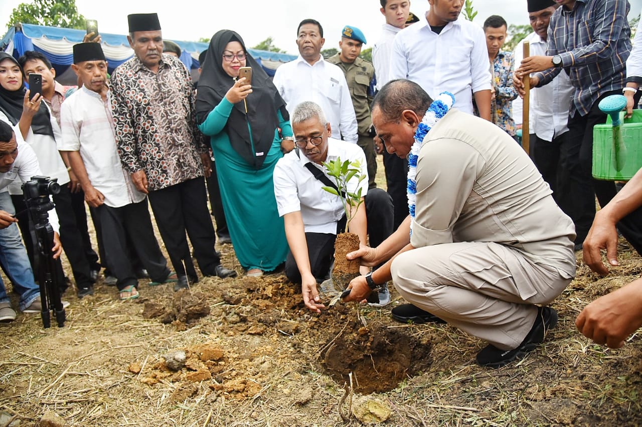 Gubsu Tanam Perdana Kacang Tanah di Lembah Sorik Marapi   